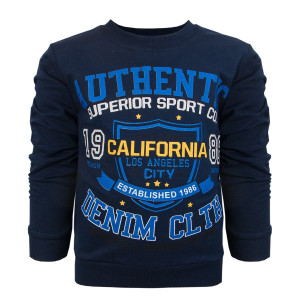 Свитшот Efece Authentic для мальчика