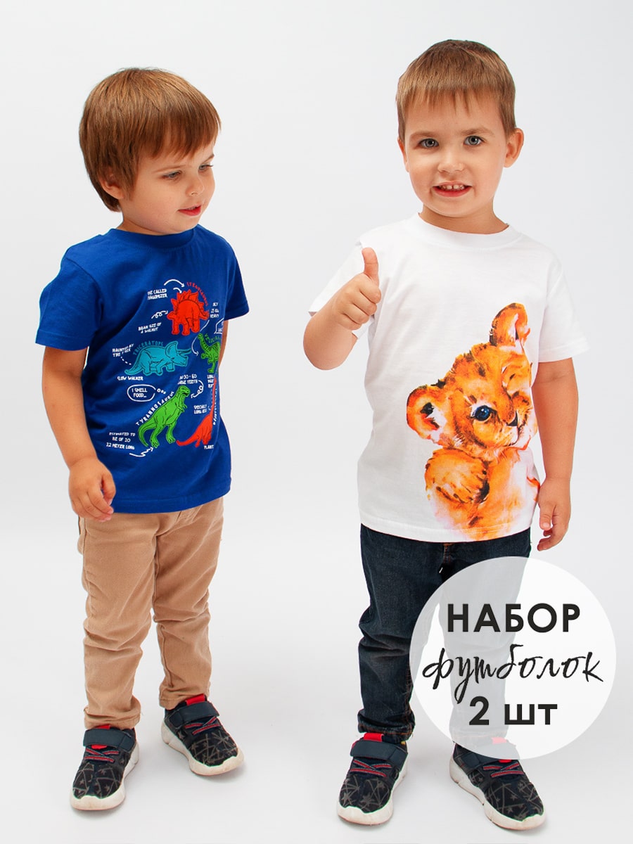 Футболка для мальчика 2 шт Bonito