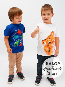Футболка для мальчика 2 шт Bonito