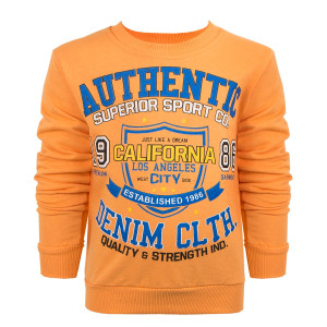 Свитшот Efece Authentic для мальчика