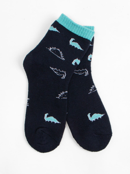 Носки детские DMDBS