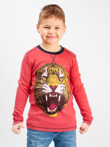 Кофта для мальчика Bonito