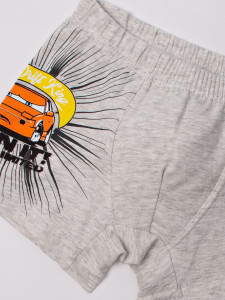 Трусы боксеры для мальчика Donella