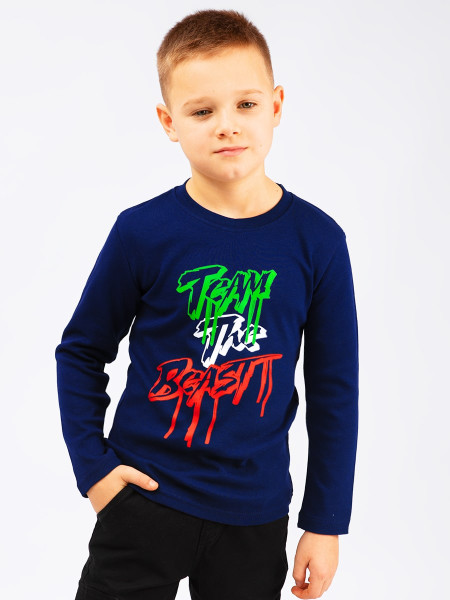 Кофта для мальчика Bonito